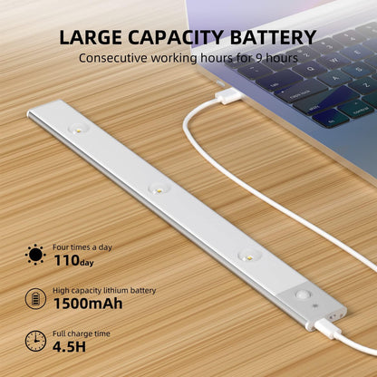 Rechargeable LED Motion Sensor Light