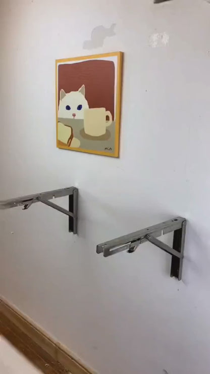 Heavy Duty Foldable Wall Mount Brackets